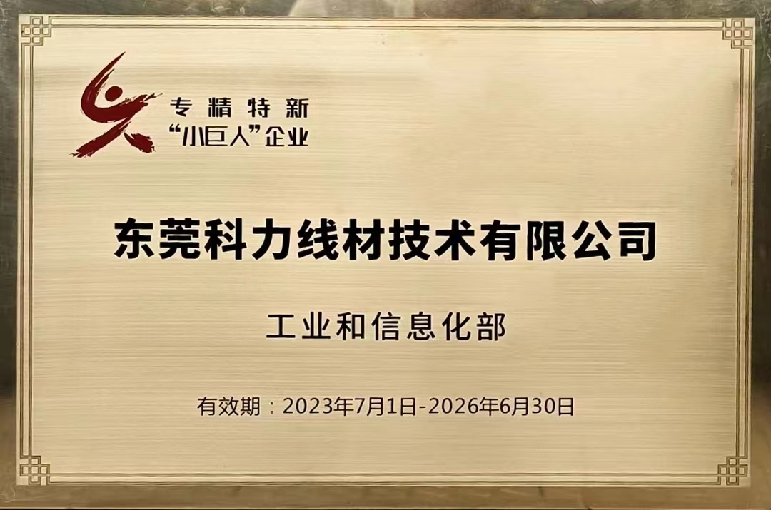 专精特新小巨人企业